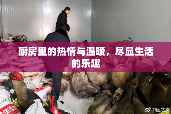 厨房里的热情与温暖，尽显生活的乐趣