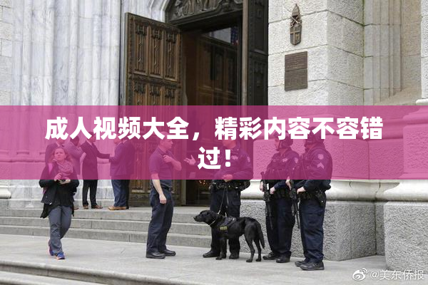 成人视频大全，精彩内容不容错过！