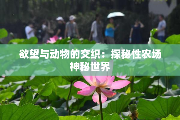 欲望与动物的交织：探秘性农场神秘世界