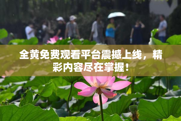 全黄免费观看平台震撼上线，精彩内容尽在掌握！