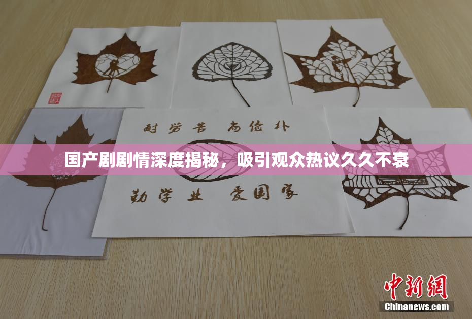 国产剧剧情深度揭秘，吸引观众热议久久不衰