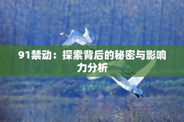 91禁动：探索背后的秘密与影响力分析