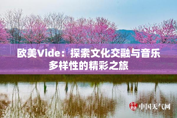 欧美Vide：探索文化交融与音乐多样性的精彩之旅