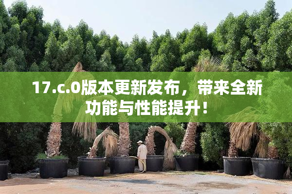 17.c.0版本更新发布，带来全新功能与性能提升！
