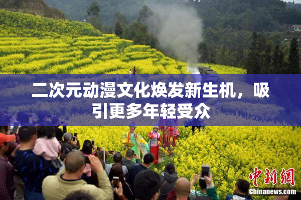 二次元动漫文化焕发新生机，吸引更多年轻受众
