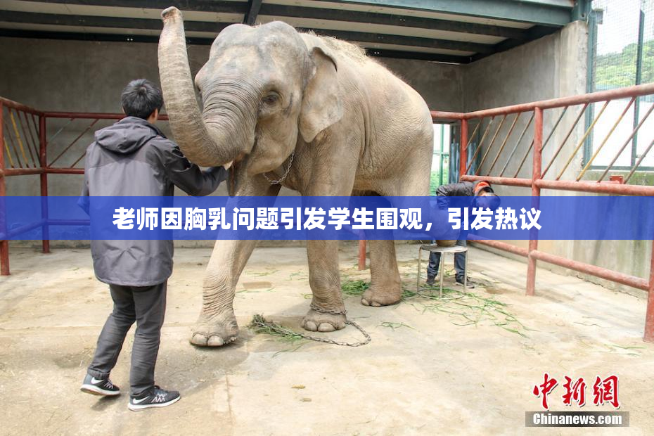 老师因胸乳问题引发学生围观，引发热议