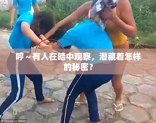 哼～有人在暗中观察，潜藏着怎样的秘密？
