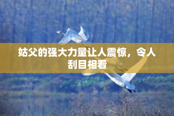 姑父的强大力量让人震惊，令人刮目相看