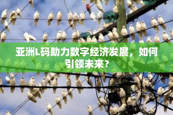 亚洲L码助力数字经济发展，如何引领未来？