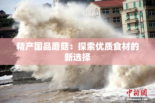 精产国品蘑菇：探索优质食材的新选择