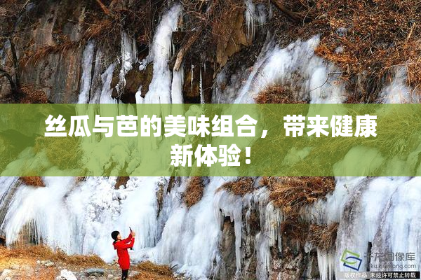 丝瓜与芭的美味组合，带来健康新体验！