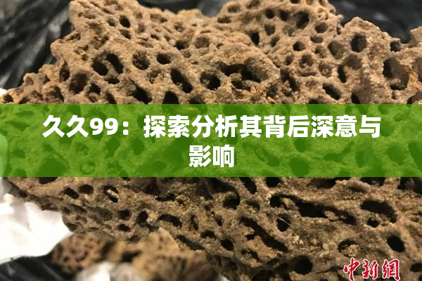 久久99：探索分析其背后深意与影响