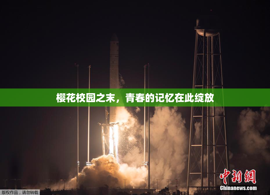 樱花校园之末，青春的记忆在此绽放