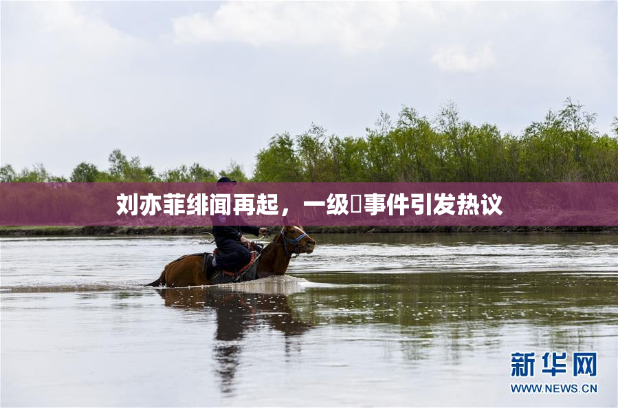 刘亦菲绯闻再起，一级婬事件引发热议