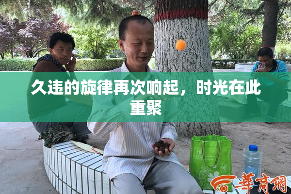 久违的旋律再次响起，时光在此重聚