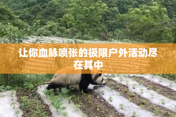 让你血脉喷张的极限户外活动尽在其中