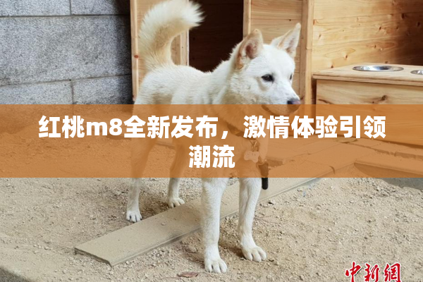 红桃m8全新发布，激情体验引领潮流