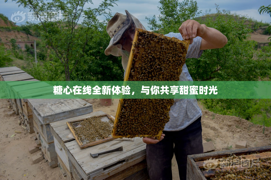 糖心在线全新体验，与你共享甜蜜时光