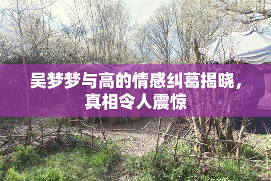 吴梦梦与高的情感纠葛揭晓，真相令人震惊