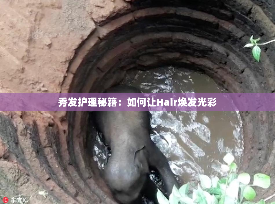秀发护理秘籍：如何让Hair焕发光彩