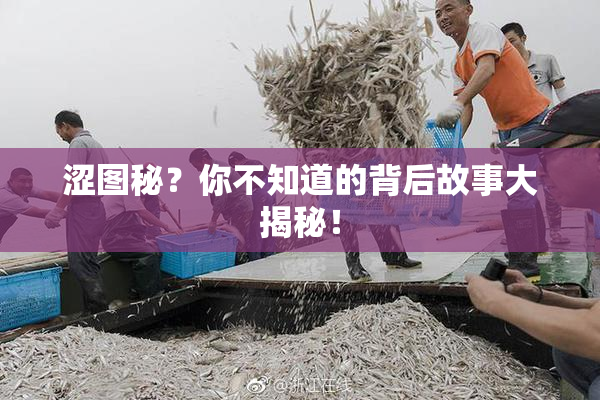 涩图秘？你不知道的背后故事大揭秘！