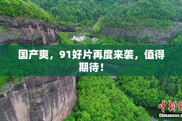 国产爽，91好片再度来袭，值得期待！