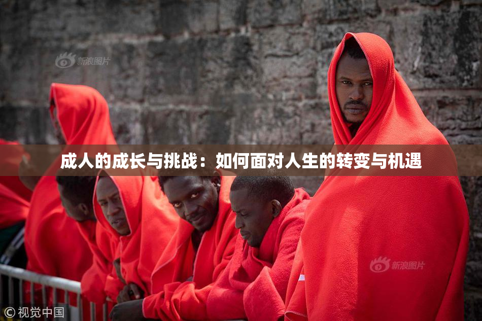 成人的成长与挑战：如何面对人生的转变与机遇