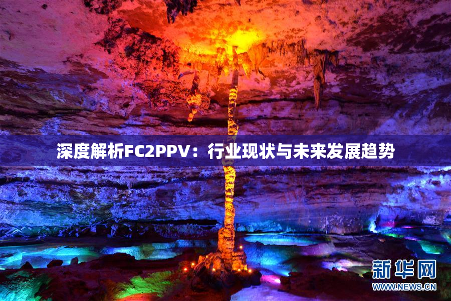 深度解析FC2PPV：行业现状与未来发展趋势