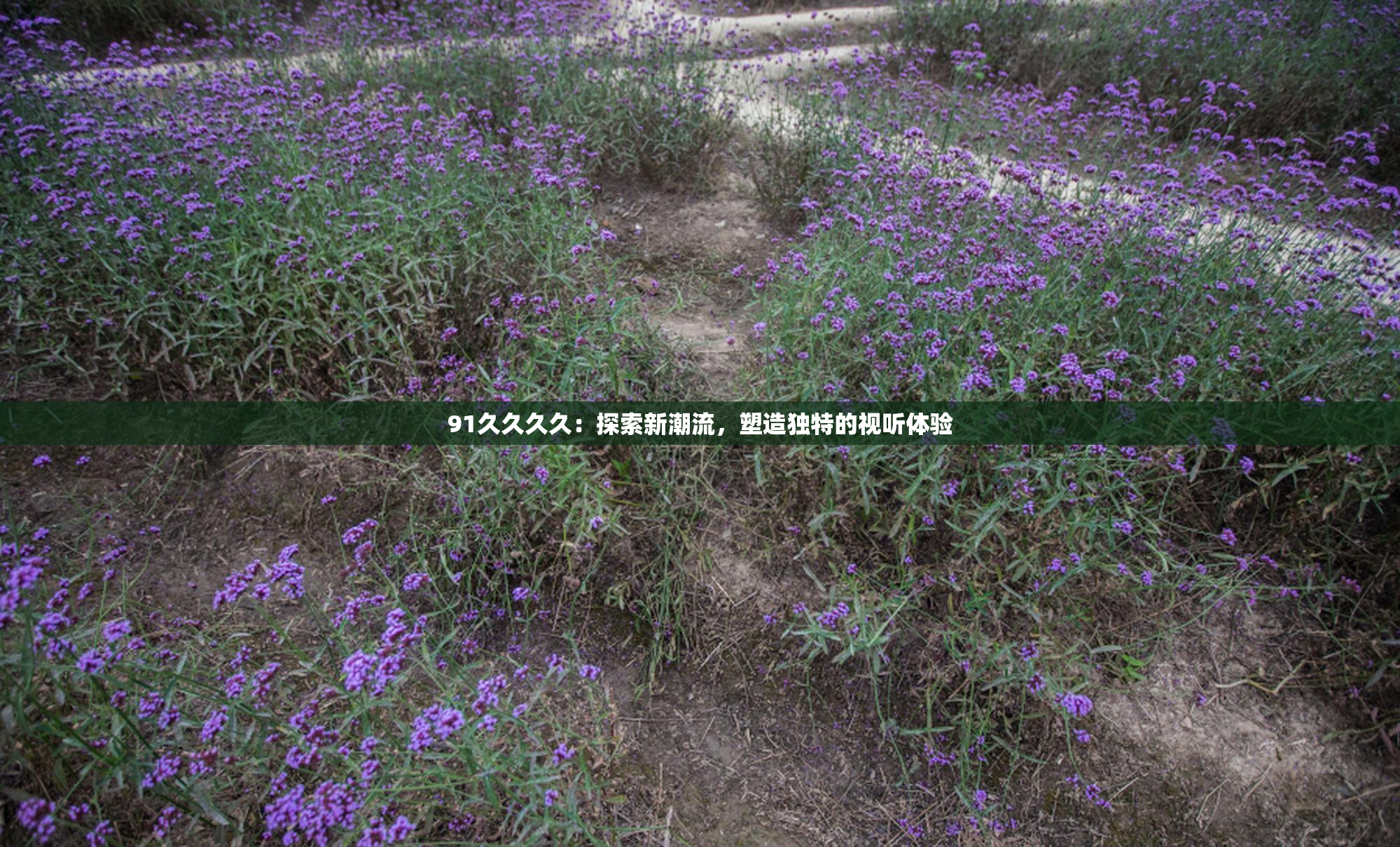 91久久久久：探索新潮流，塑造独特的视听体验