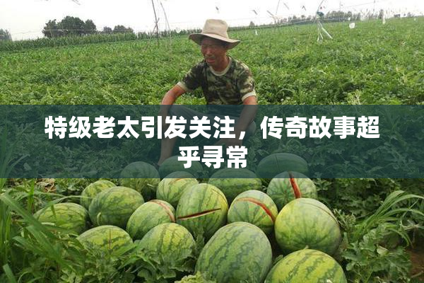 特级老太引发关注，传奇故事超乎寻常