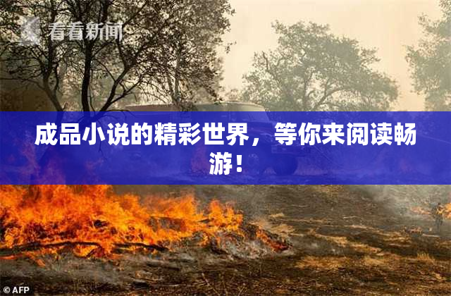 成品小说的精彩世界，等你来阅读畅游！