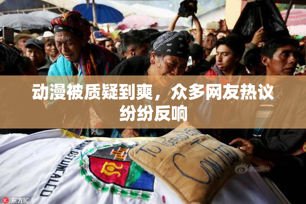 动漫被质疑到爽，众多网友热议纷纷反响