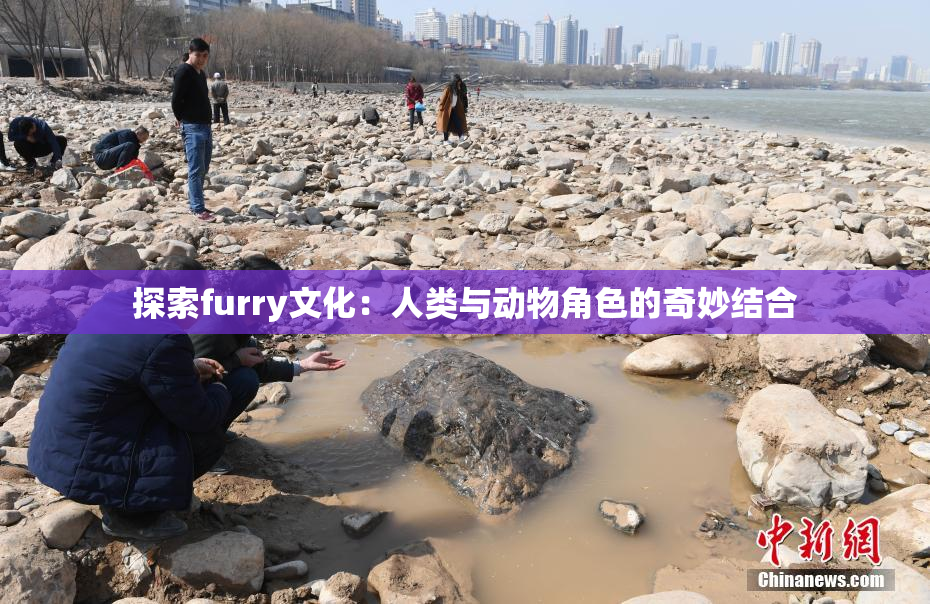 探索furry文化：人类与动物角色的奇妙结合
