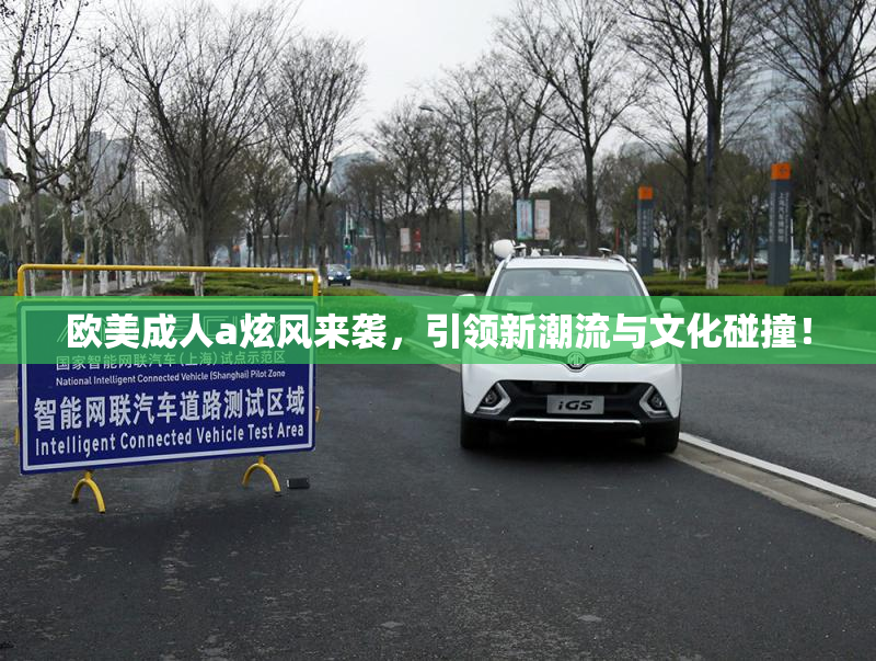 欧美成人a炫风来袭，引领新潮流与文化碰撞！