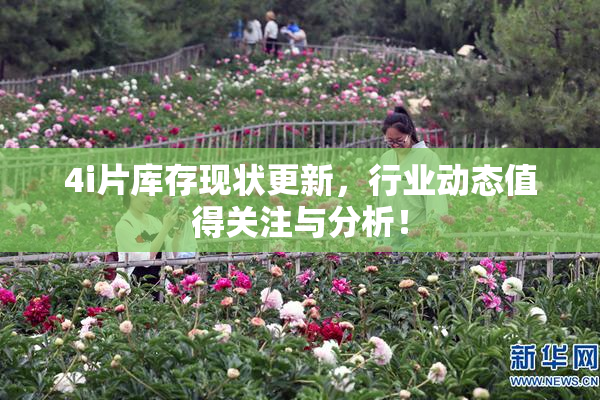 4i片库存现状更新，行业动态值得关注与分析！