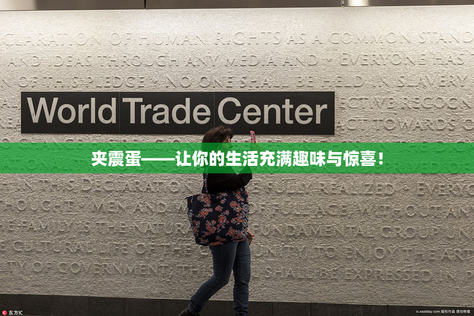 夹震蛋——让你的生活充满趣味与惊喜！