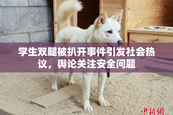 学生双腿被扒开事件引发社会热议，舆论关注安全问题