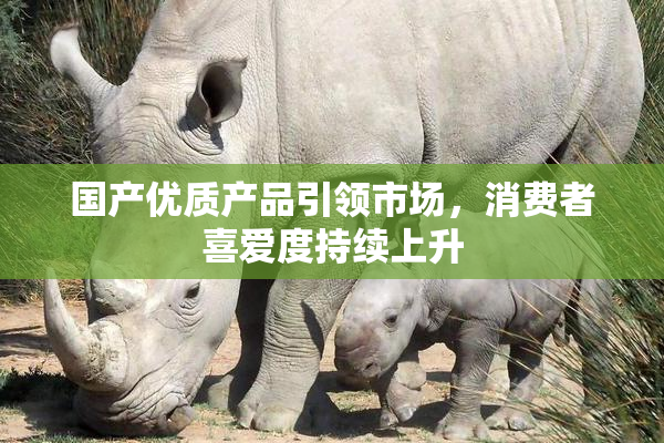 国产优质产品引领市场，消费者喜爱度持续上升