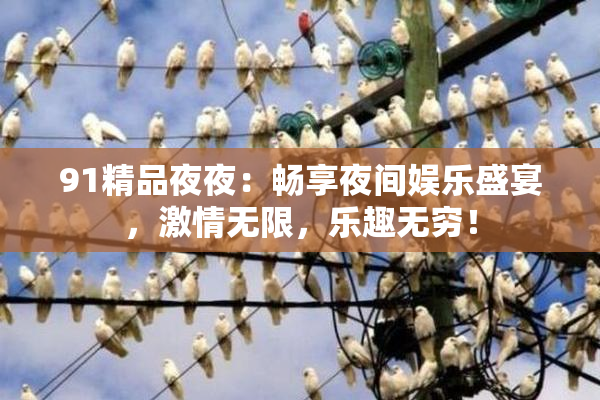 91精品夜夜：畅享夜间娱乐盛宴，激情无限，乐趣无穷！