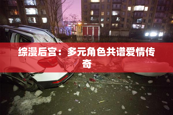 综漫后宫：多元角色共谱爱情传奇