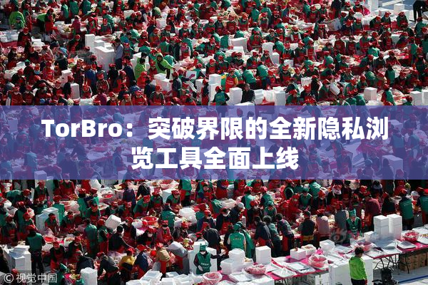 TorBro：突破界限的全新隐私浏览工具全面上线