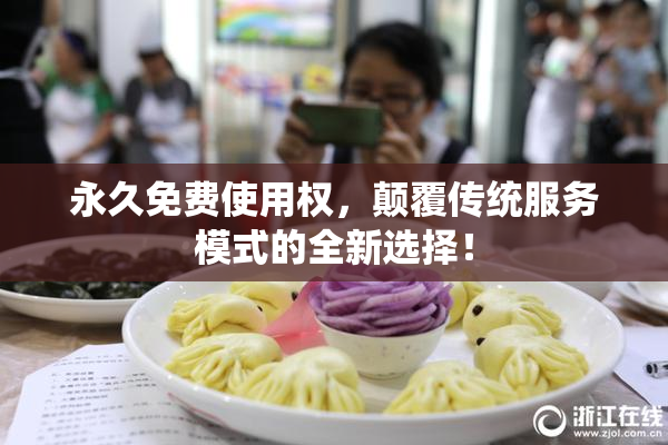 永久免费使用权，颠覆传统服务模式的全新选择！