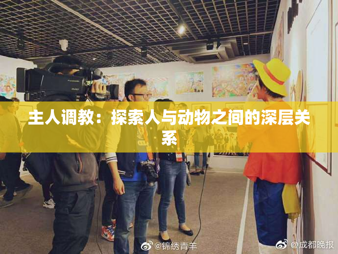 主人调教：探索人与动物之间的深层关系