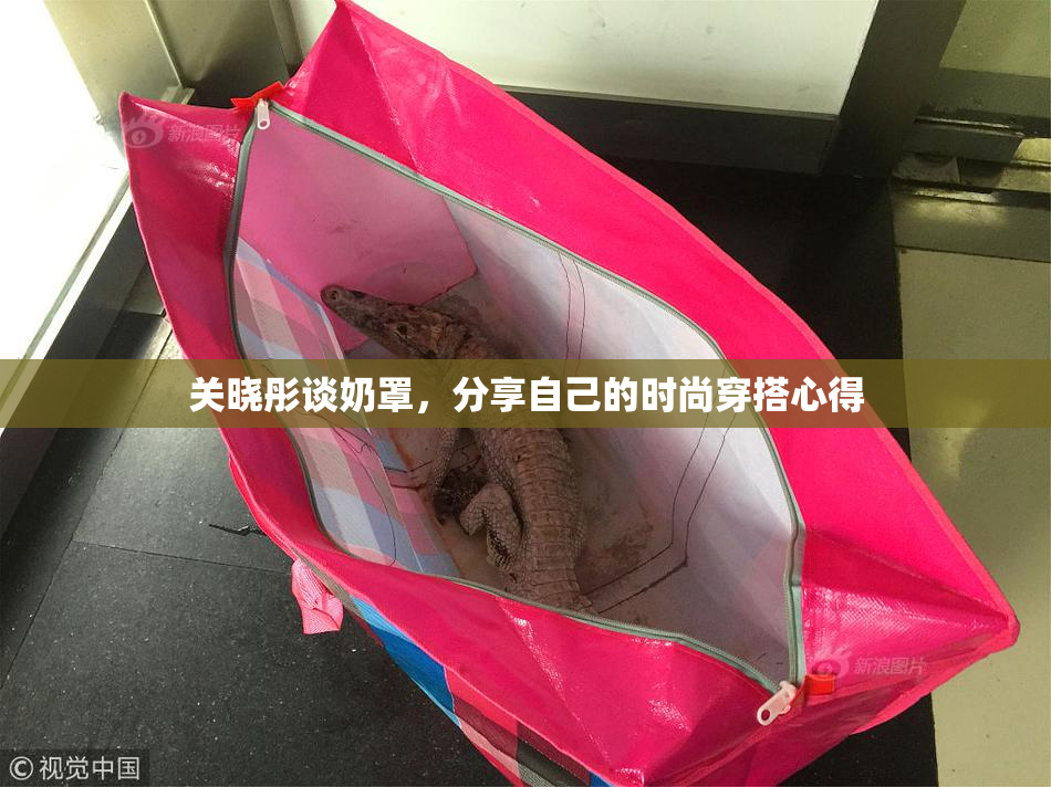 关晓彤谈奶罩，分享自己的时尚穿搭心得