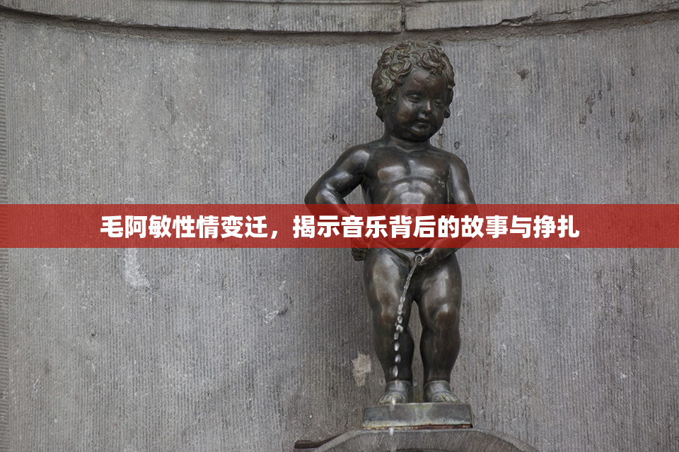 毛阿敏性情变迁，揭示音乐背后的故事与挣扎