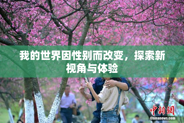 我的世界因性别而改变，探索新视角与体验