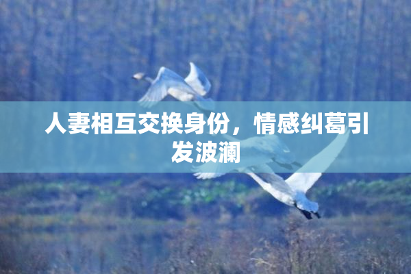 人妻相互交换身份，情感纠葛引发波澜
