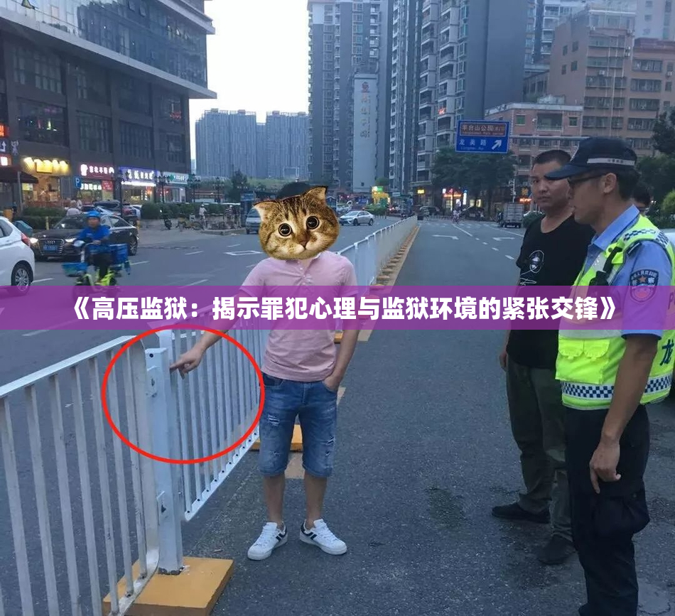 《高压监狱：揭示罪犯心理与监狱环境的紧张交锋》