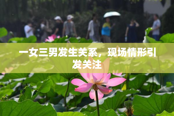 一女三男发生关系，现场情形引发关注