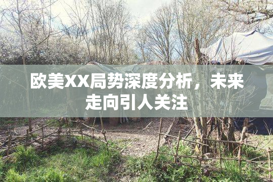 欧美XX局势深度分析，未来走向引人关注